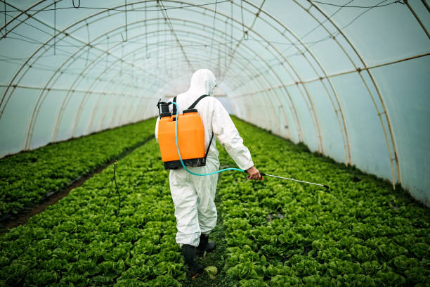 Best Insect Control  in Lexico, CA