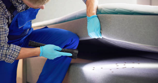 Best Pest Control Treatment  in Lexico, CA