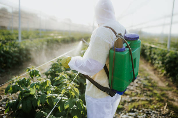 Best Best Pest Control Companies  in Lexico, CA